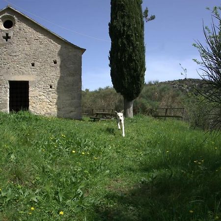 Casa Greta - Orco-Feglino Appartement Orco Feglino Buitenkant foto
